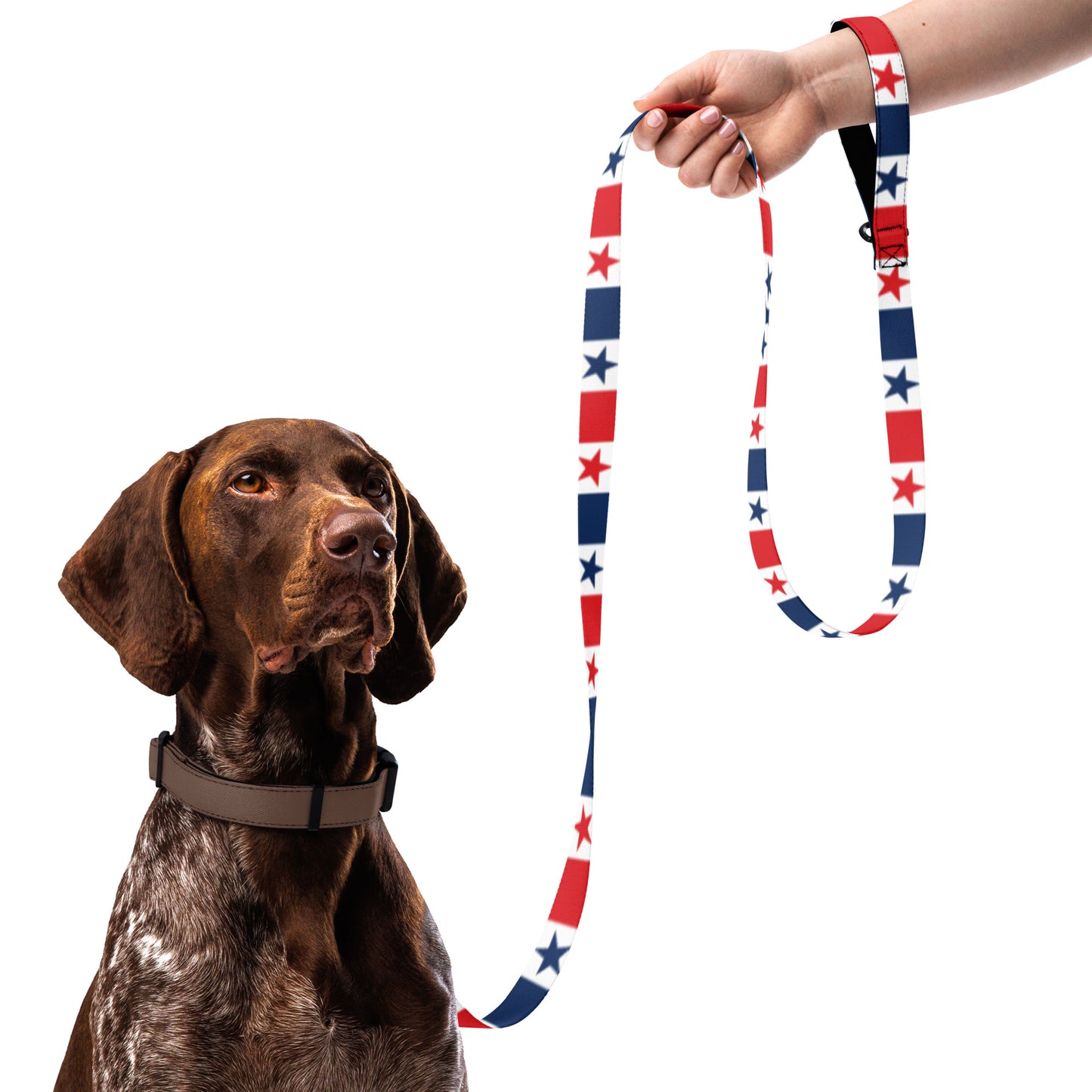 Panama Pet Leash